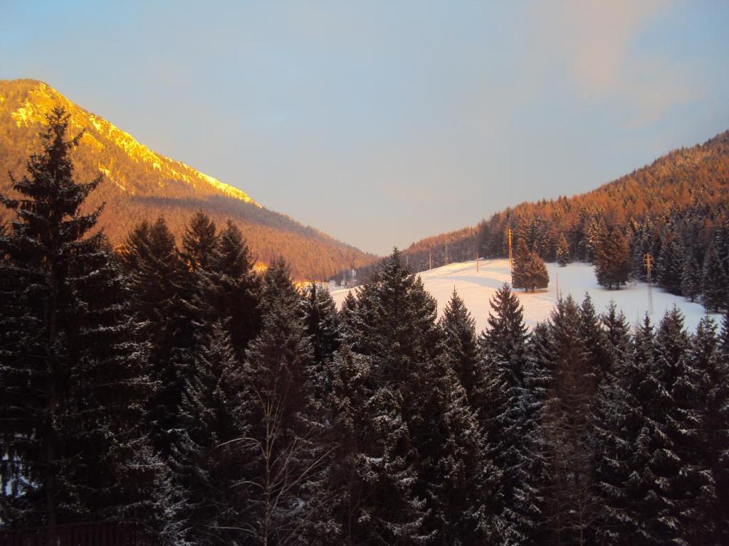 Hotel Des Alpes Castione della Presolana Habitación foto